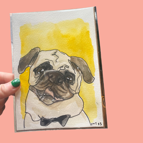 Custom Pet Portraits