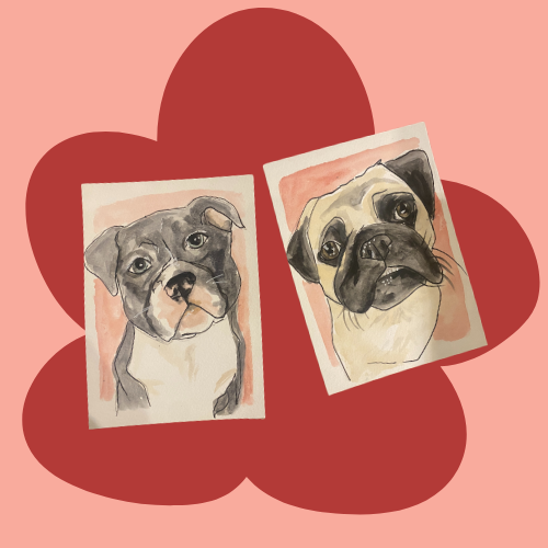 Custom Pet Portraits
