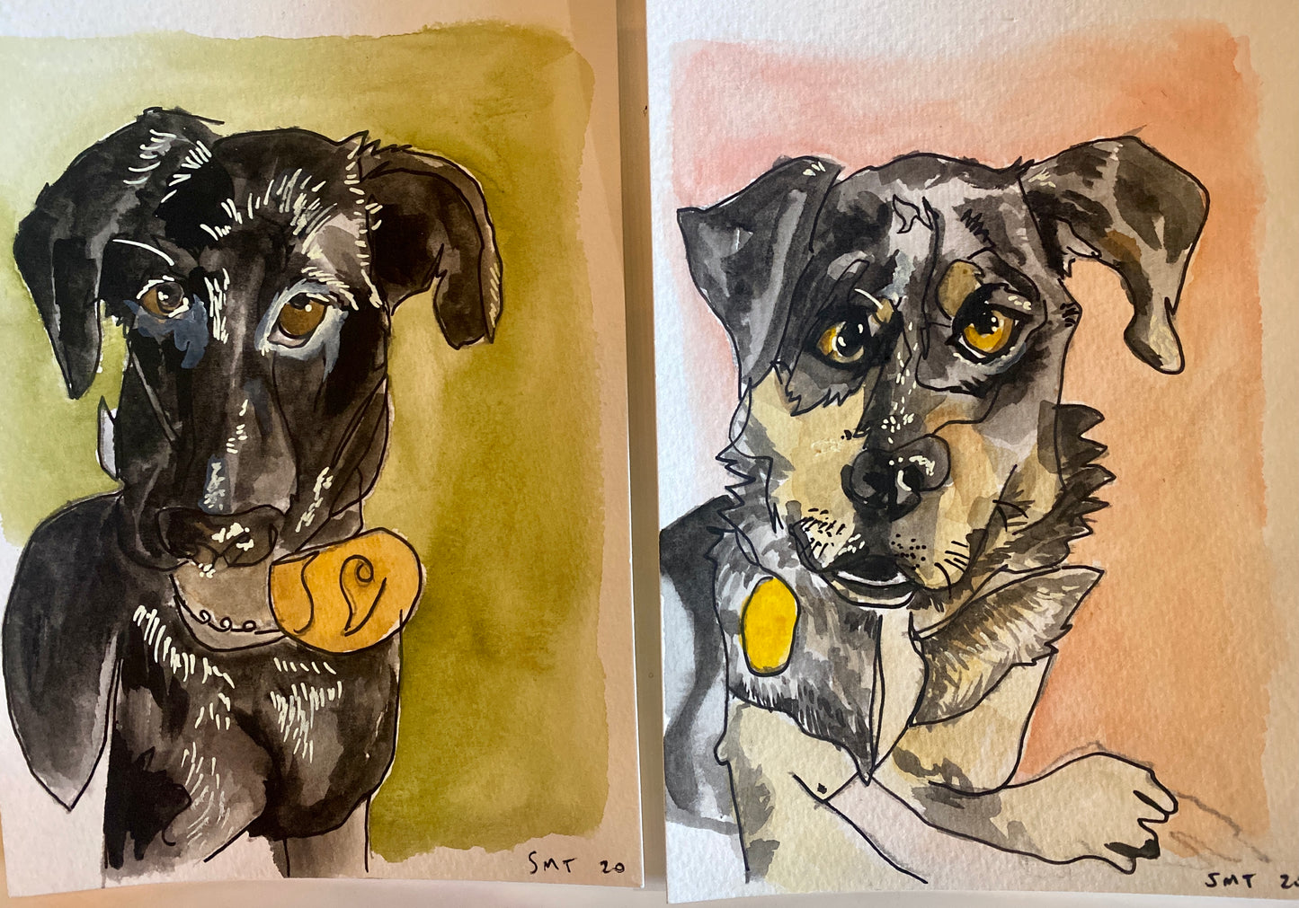 Custom Pet Portraits