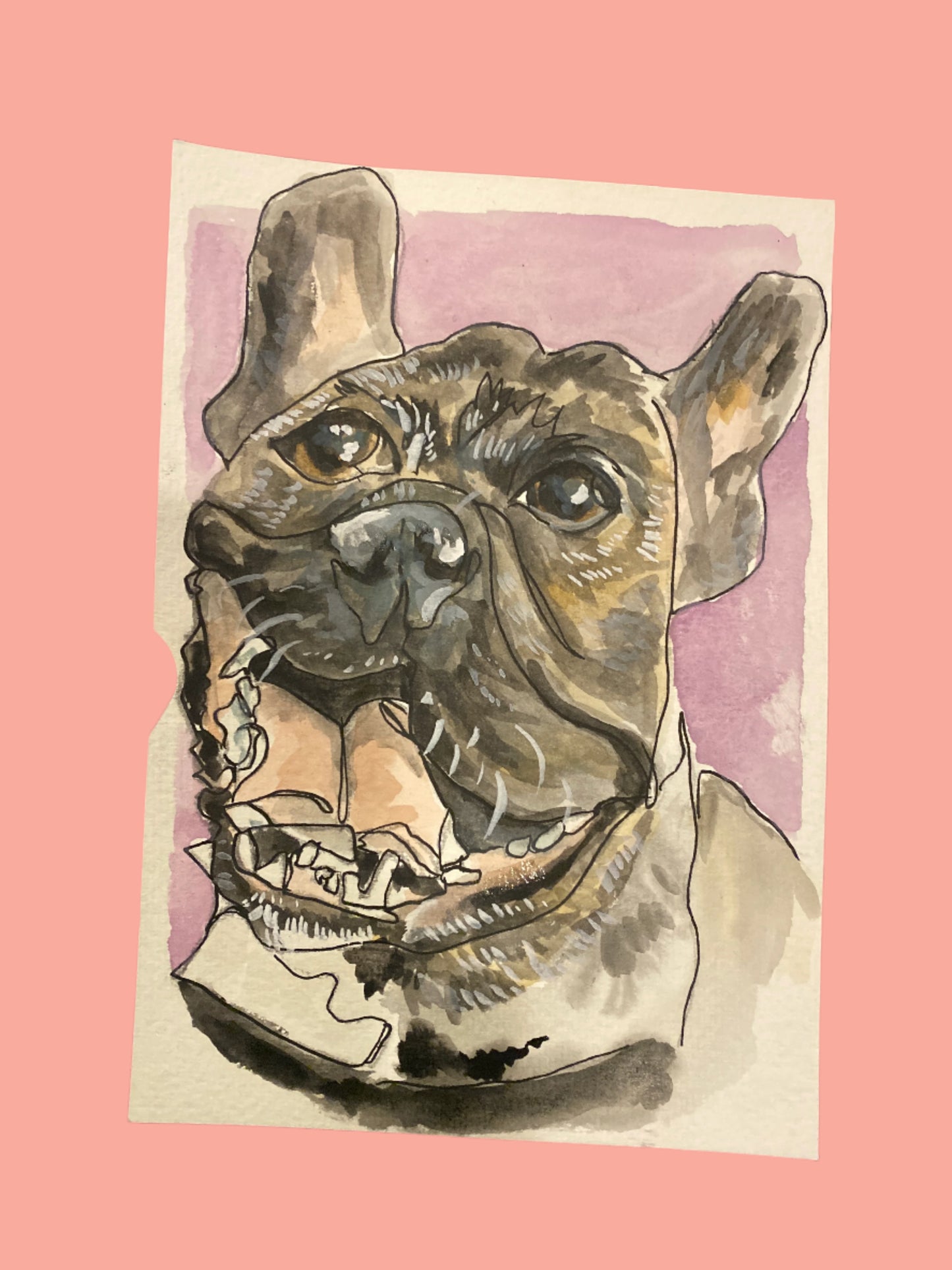 Custom Pet Portraits