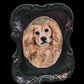 Custom Ceramic Pet Portrait